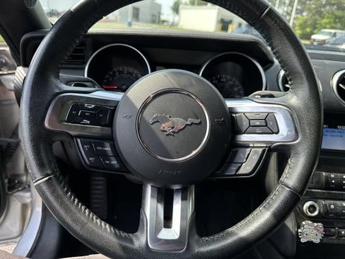 Ingot Silver Metallic 2019 Ford Mustang EcoBoost