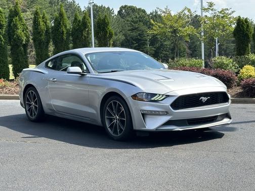 Ingot Silver Metallic 2019 Ford Mustang EcoBoost