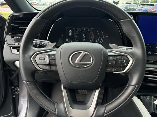 Nebula Gray Pearl 2023 Lexus RX 350 Premium