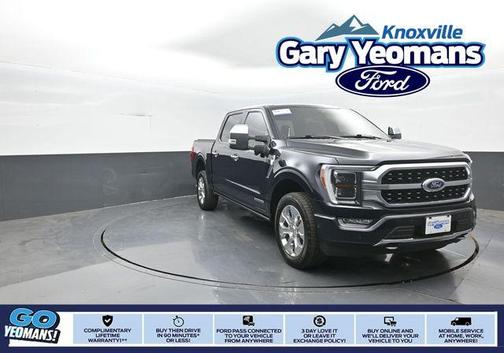 Blue Metallic 2021 Ford F-150 Platinum