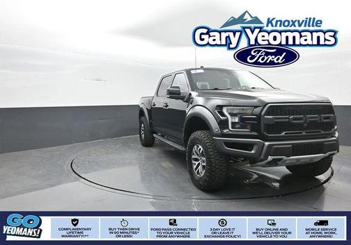 Shadow Black 2017 Ford F-150 Raptor