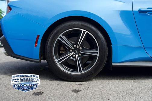 GRABBER BLUE METALLIC 2024 Ford Mustang EcoBoost Premium