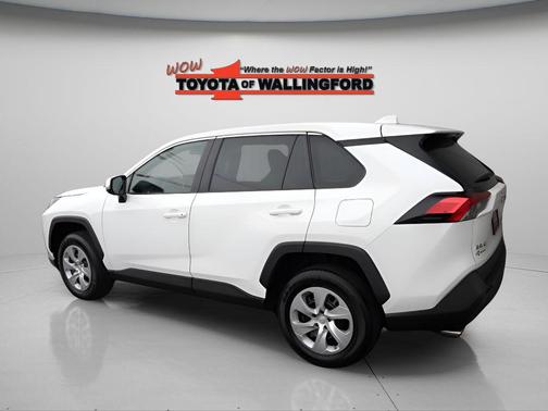 Ice Cap 2024 Toyota RAV4 LE