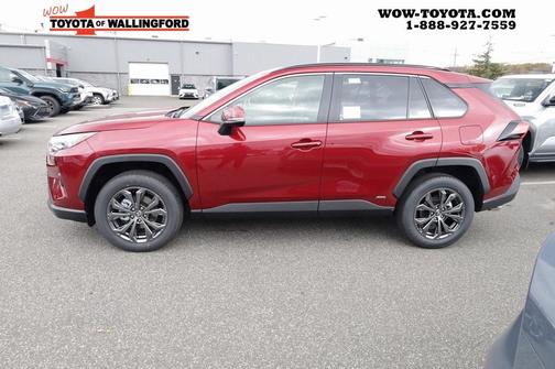 2025 Toyota RAV4 Hybrid XLE Premium