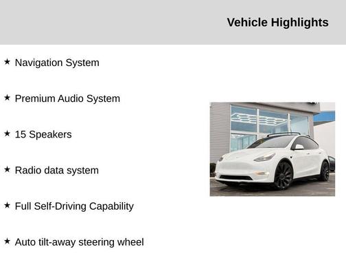 2021 Tesla Model Y Performance Dual Motor All-Wheel Drive