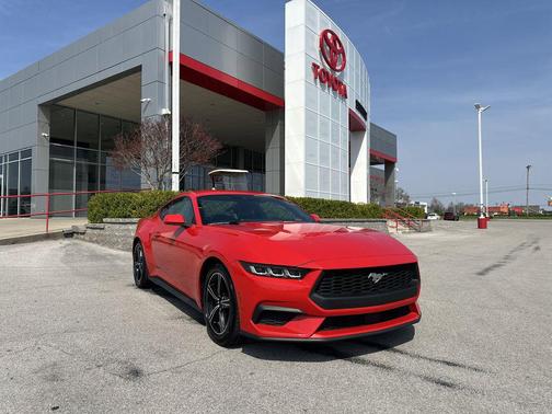 Race Red 2024 Ford Mustang EcoBoost Premium