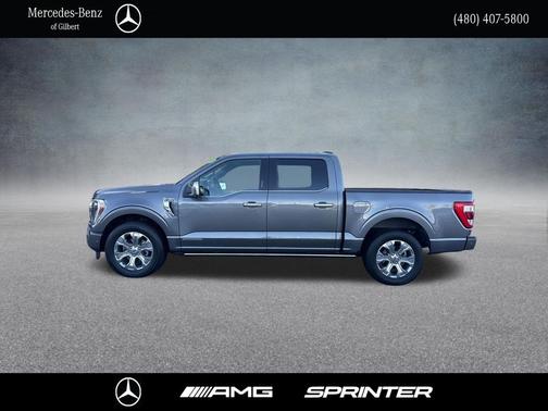 Carbonized Gray Metallic 2021 Ford F-150 Platinum