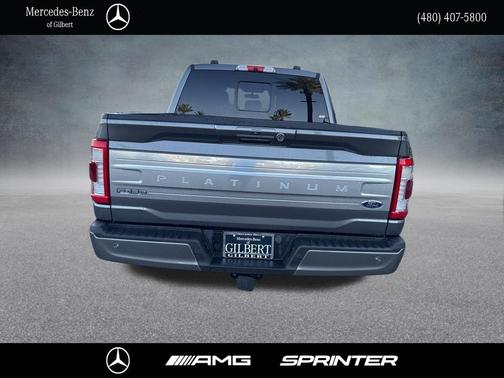 Carbonized Gray Metallic 2021 Ford F-150 Platinum