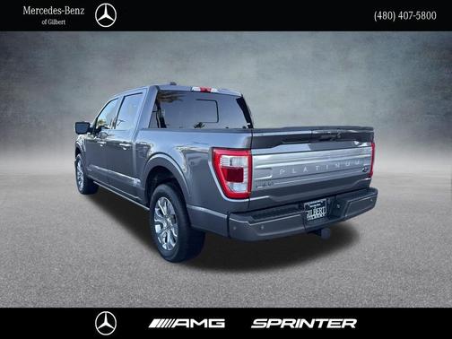 Carbonized Gray Metallic 2021 Ford F-150 Platinum
