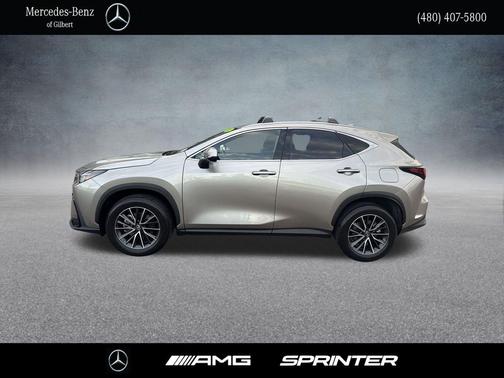 2023 Lexus NX 350h AWD