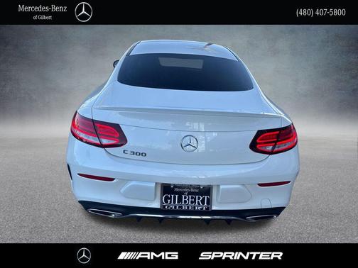 2019 Mercedes-Benz C-Class C 300