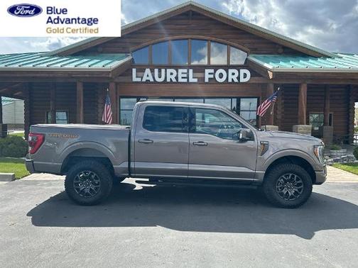 STONE GREY METALLIC 2022 Ford F-150 TREMOR