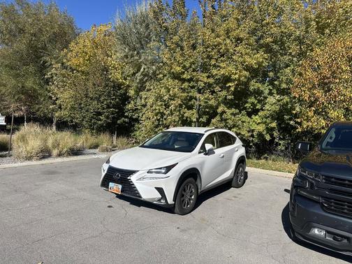 2018 Lexus NX 300 F Sport