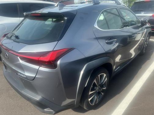 Nebula Gray Pearl 2020 Lexus UX 250h Base