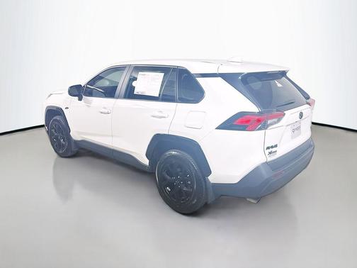 Ice Cap 2025 Toyota RAV4 LE