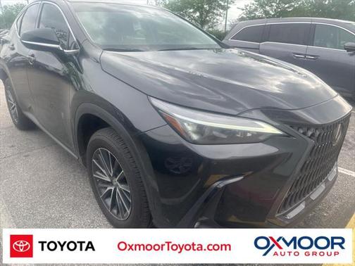 2023 Lexus NX 250 Base