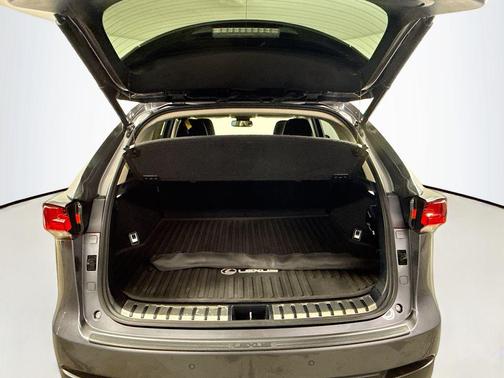 2020 Lexus NX 300 Base
