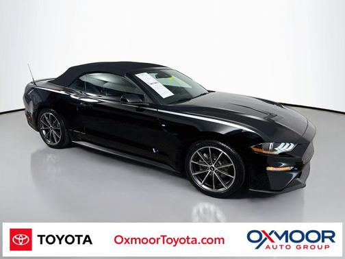 Shadow Black 2019 Ford Mustang EcoBoost Premium