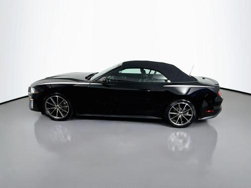 Shadow Black 2019 Ford Mustang EcoBoost Premium