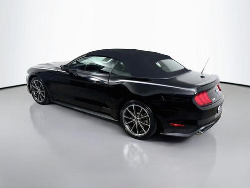 Shadow Black 2019 Ford Mustang EcoBoost Premium