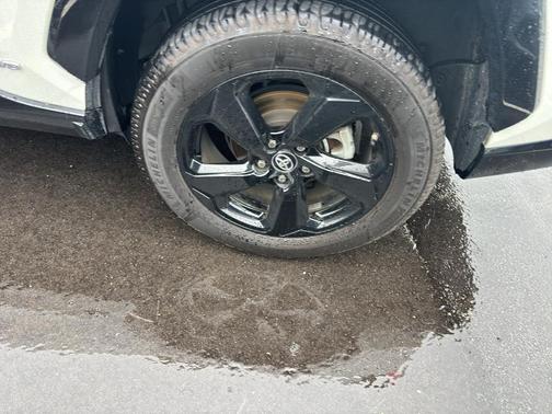 Blizzard Pearl w/Black Roof 2019 Toyota RAV4 Hybrid SE