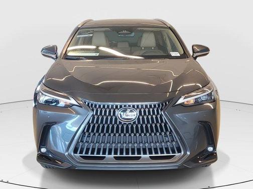 2025 Lexus NX 250 Base