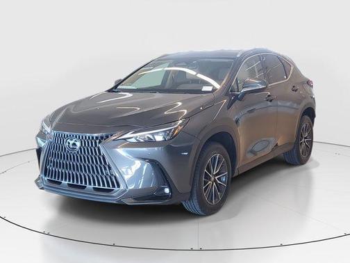 2025 Lexus NX 250 Base