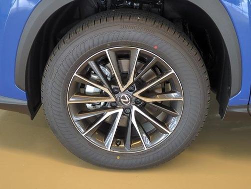 2025 Lexus NX 250 Base