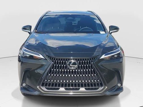 2022 Lexus NX 250 Premium