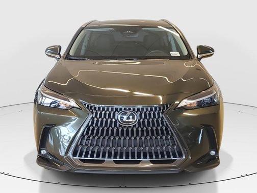 2025 Lexus NX 250 Base