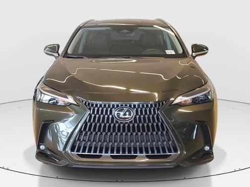 2025 Lexus NX 250 Base