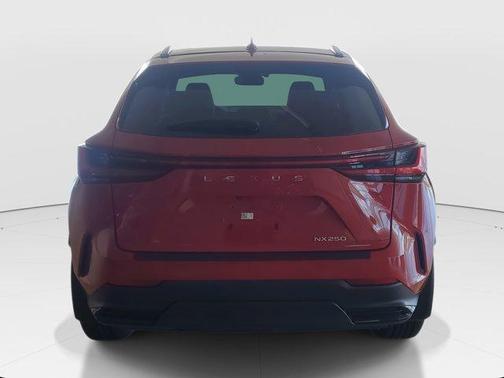 2025 Lexus NX 250 Premium