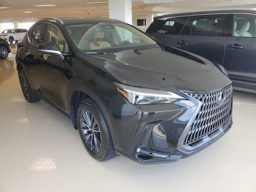 2025 Lexus NX 350 Premium