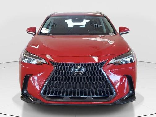 2023 Lexus NX 250 Base