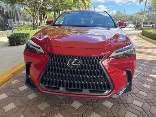 2024 Lexus NX 250 Premium