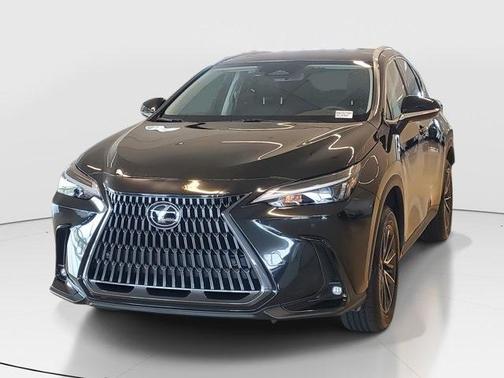 2025 Lexus NX 250 Premium