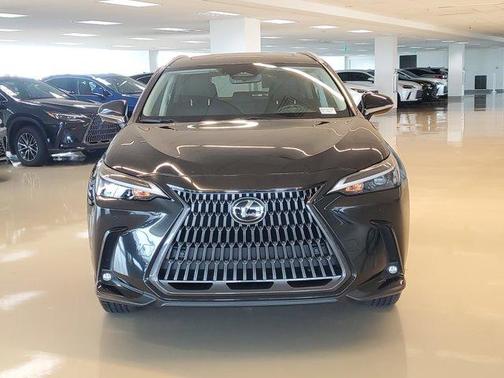 2025 Lexus NX 250 Premium
