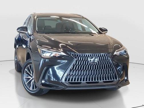 2025 Lexus NX 250 Premium