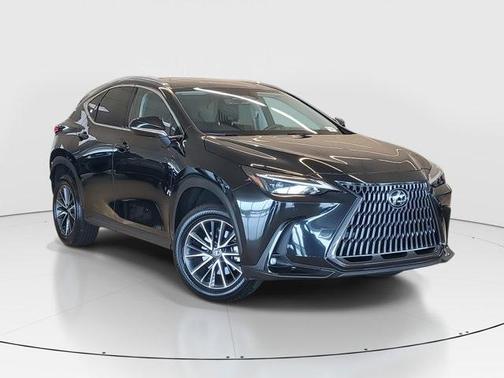 2025 Lexus NX 250 Premium