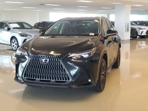 2025 Lexus NX 250 Premium