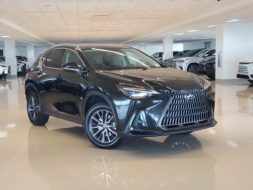 2025 Lexus NX 250 Premium