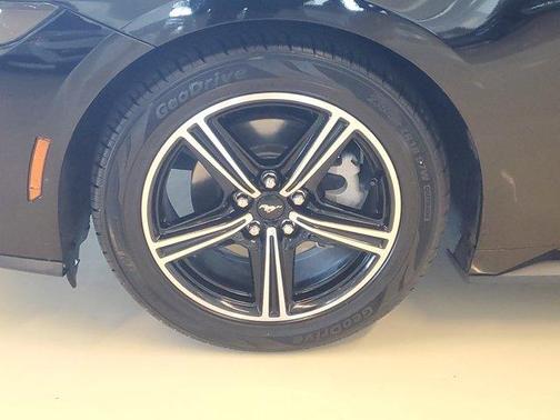 Shadow Black 2025 Ford Mustang EcoBoost Premium