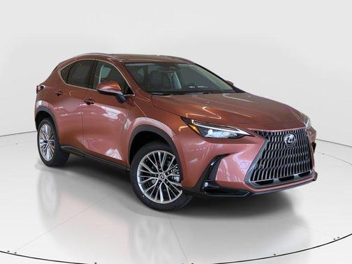2025 Lexus NX 350h Premium