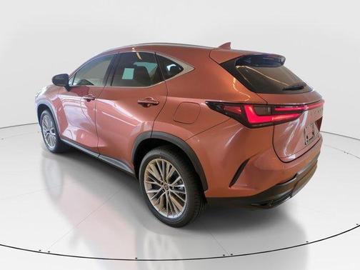 2025 Lexus NX 350h Premium
