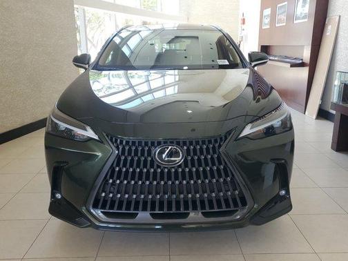 2025 Lexus NX 250 Premium