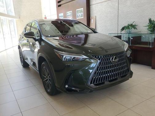 2025 Lexus NX 250 Premium