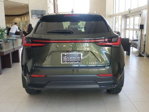 2025 Lexus NX 250 Premium