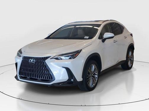 2023 Lexus NX 350h Premium