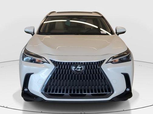 2023 Lexus NX 350h Premium