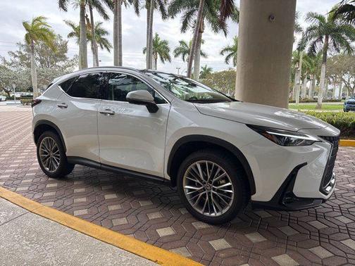 2026 Lexus NX 350 Luxury